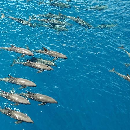 Atauro Dive Resort Beloi Εξωτερικό φωτογραφία
