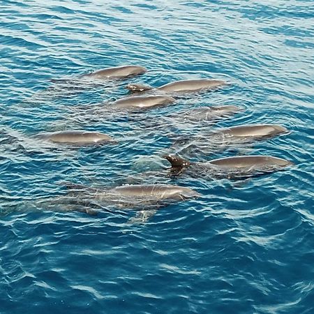 Atauro Dive Resort Beloi Εξωτερικό φωτογραφία