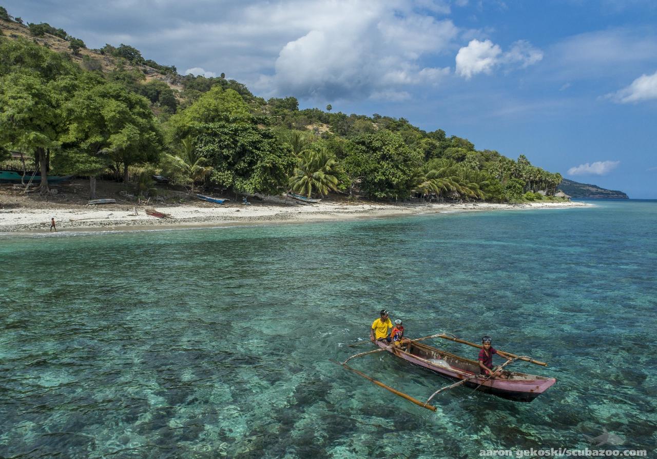Atauro Dive Resort Beloi Εξωτερικό φωτογραφία