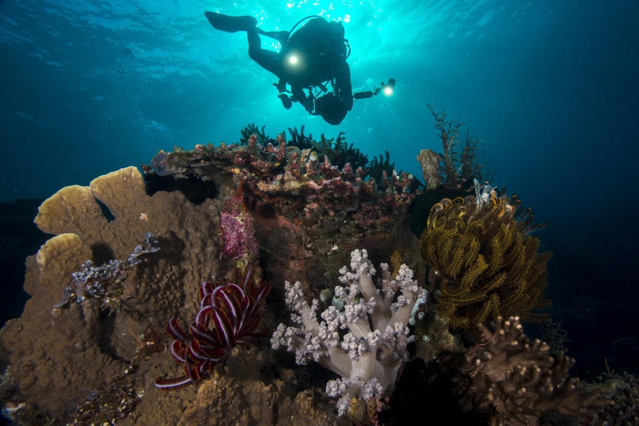 Atauro Dive Resort Beloi Εξωτερικό φωτογραφία